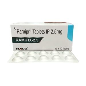 ramifix2.5