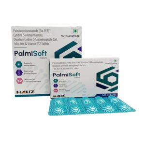 palmisoft